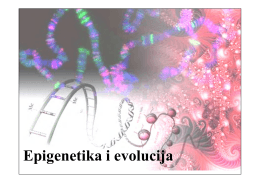 Epigenetika i evolucija