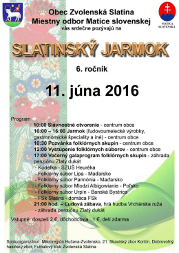 plagat ZVS