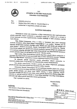 Merkezi Bilge Şifre Yetkisi İle G&uuml;mr&uuml;k M&uuml;şaviri, G&uuml;mr&uuml;k M&uuml;şavir