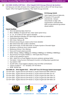 8Port SFP Slot + 2Port Gigabit RJ45 Omurga Ethernet Ağ
