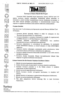 İnovasyon Odaklı Mentörlük Projesi Detayı (5 sayfa)