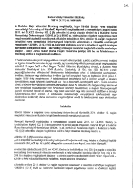 (V.31.) sz. hat&aacute;rozata