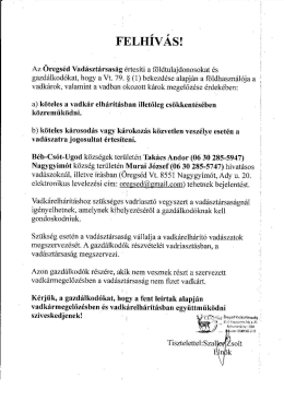 FELH&Iacute;V&Aacute;S vadk&aacute;r elh&aacute;r&iacute;t&aacute;sra