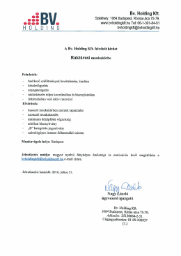Rakt&aacute;ros - Bv. Holding Kft.