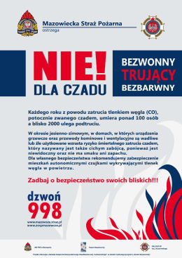 NIE dla czadu - plakat informacyjny