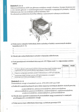 fosforanowymi. jest ona uwalniana podczas hydrolizy ATP.