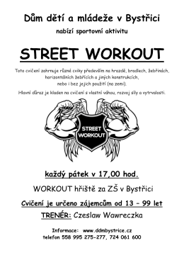 street workout - Dům dětí a mládeže Bystřice