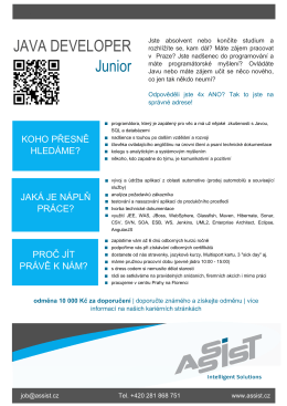 Assist - Java Developer Junior