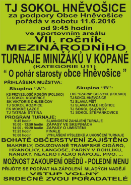 \DATA\_Flash_Fialova\_a\_Veri\Plakat_mini_U11_2016.jpg