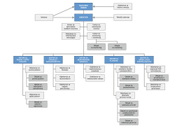 Организациона структура ИРБРС