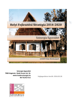 Szinergia HFS 2016.05.30 pdf