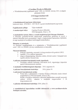 2 fő kisgyermeknevelő - Carolina Óvoda és Bölcsőde