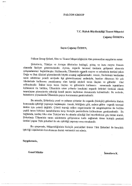 Falcon Group Yazısı Tercümesi (3 sayfa)