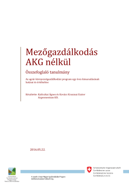 Kalóczkai Ágnes és Kovács-Krasznai Eszter által írt tanulmány