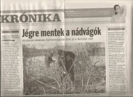 Jégre mentek a nádvágók