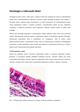 Histologie a mikrosvět tkání