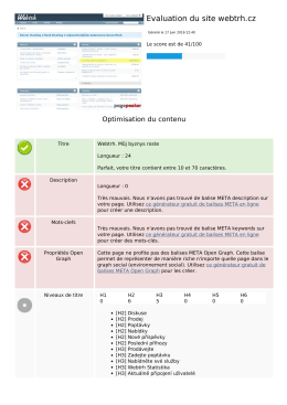 Evaluation du site webtrh.cz