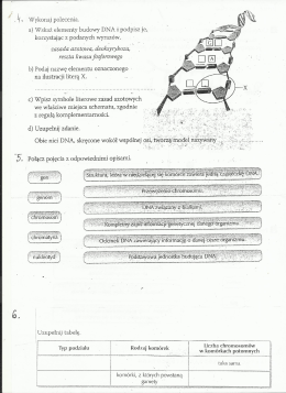 `r Wykonaj polecenia. a) Wskaż elementy budowy DNA i podpisz je