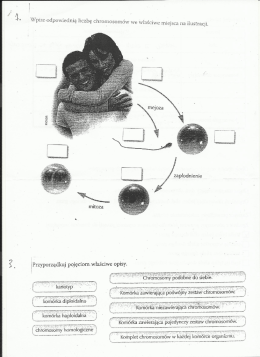 Wpisz-odpowiednią liczbę chromosomów we Właściwe miejsca na