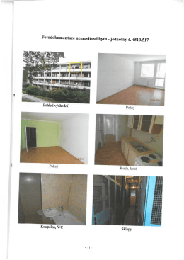 Fotodokllmentace nemovitosti bytu