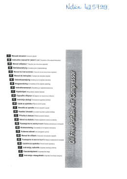 Page 1 Manuale istruzioni (struzioni originali) GB Instruction manual