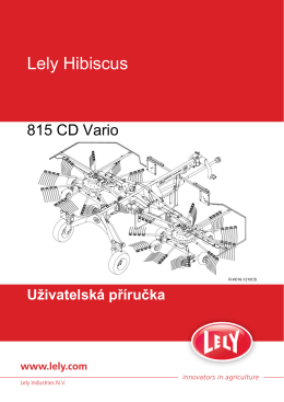 Lely Hibiscus