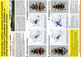 Fotografie na celou str&aacute;nku