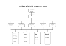 bilgi işlem müdürlüğü organizasyon şeması