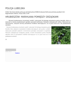 policja lubelska hrubieszów: marihuana pomiędzy grządkami