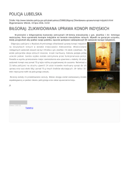 policja lubelska biłgoraj: zlikwidowana uprawa konopi indyjskich