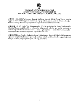 20/07/2016 UKOME Toplantısı Ek G&uuml;ndem Maddeleri