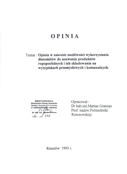 prof. dr hab.inż. M. Granopsa z Politechniki Rzeszowskiej