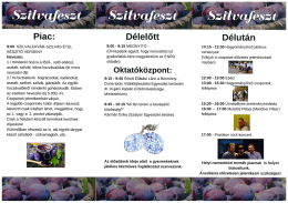 Megh&iacute;v&oacute; 2. oldal let&ouml;lt&eacute;se