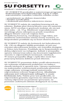 FORSETTI - najnowsze ŻYTO HYBRYDOWE