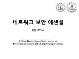 PowerPoint 프레젠테이션 - Protocol Engineering Lab.