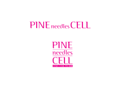 파인니들셀 로고 [변환됨]