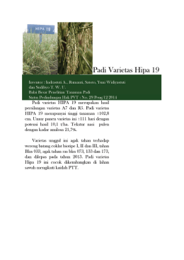 Padi Varietas Hipa 19