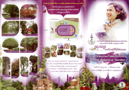 แผ่นผับ อพ.สธ.