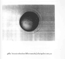 Page 1 Page 2 32 การพัฒนาของตัวอ่อน _ จากการศึกษาการพัฒนาของํตัว