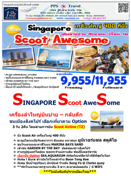 SINGAPORE Scoot AweSome