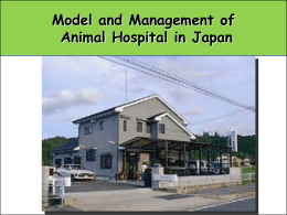 Model and Management of Animal Hospital in Japan