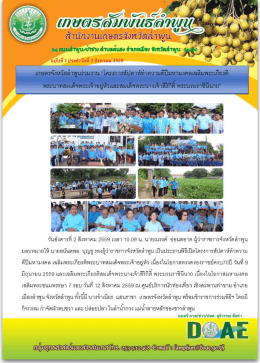 Page 1 4/2C%256/2/4/4/อั(0% สนใงานเftษ615 จึงทโJดสTWyน 9