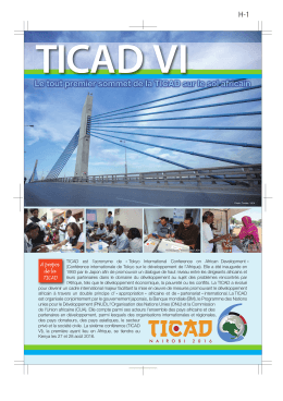 TICAD est l`acronyme de « Tokyo International Conference on