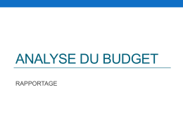 analyse du budget rapportage module 3