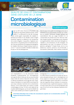 Contamination microbiologique - GIP Seine-Aval