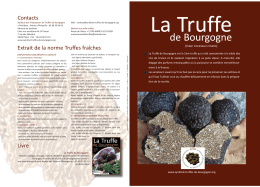 Syndicat des Producteurs de Truffes de Bourgogne
