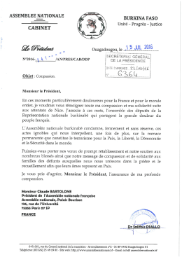 Page 1 ASSEMBLEE NATIONALE CABINET BURKINA FASO Unit&eacute;