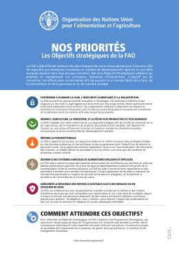 Nos priorités: Les Objectifs stratégiques de la FAO. Affiche