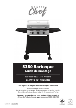 S380 Barbeque