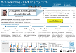 Web marketing / Chef de projet web